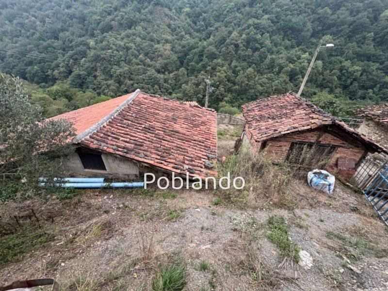 Finca de 30.000 m² con Casa y Cuadras – Oportunidad Inversora (Turismo Rural