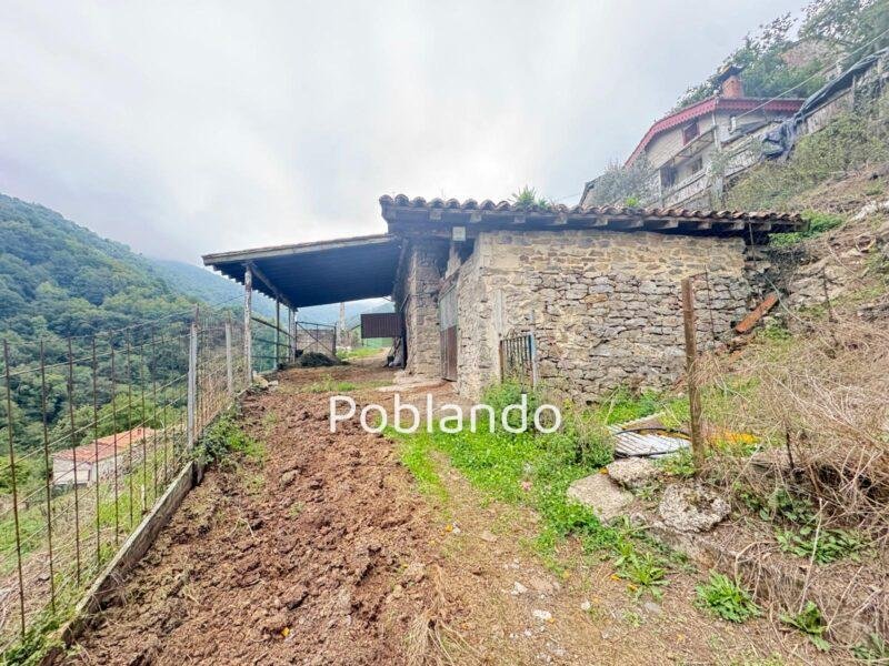 Finca de 30.000 m² con Casa y Cuadras – Oportunidad Inversora (Turismo Rural