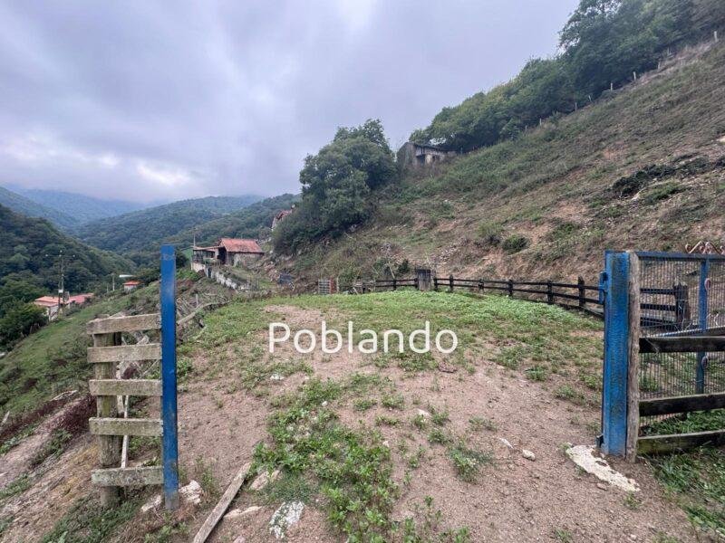Finca de 30.000 m² con Casa y Cuadras – Oportunidad Inversora (Turismo Rural
