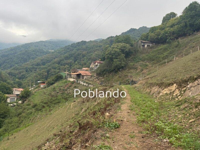 Finca de 30.000 m² con Casa y Cuadras – Oportunidad Inversora (Turismo Rural