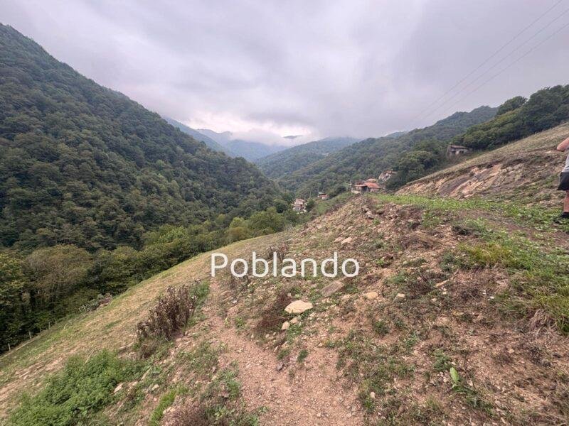 Finca de 30.000 m² con Casa y Cuadras – Oportunidad Inversora (Turismo Rural