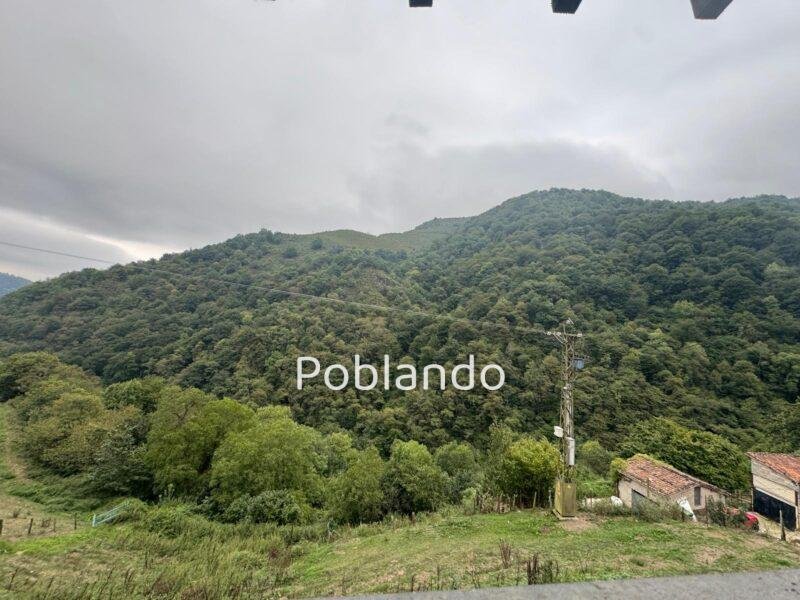 Finca de 30.000 m² con Casa y Cuadras – Oportunidad Inversora (Turismo Rural