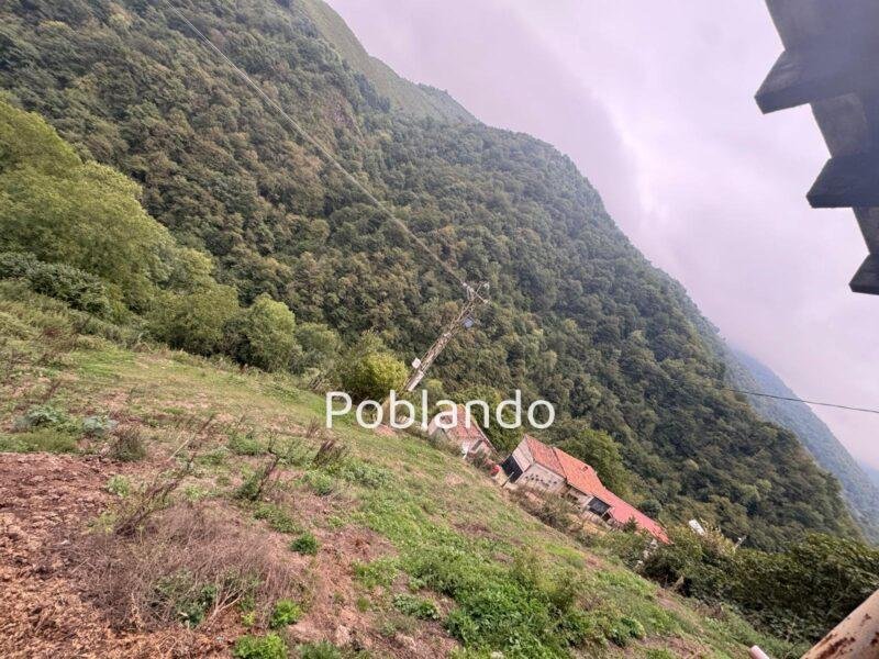 Finca de 30.000 m² con Casa y Cuadras – Oportunidad Inversora (Turismo Rural