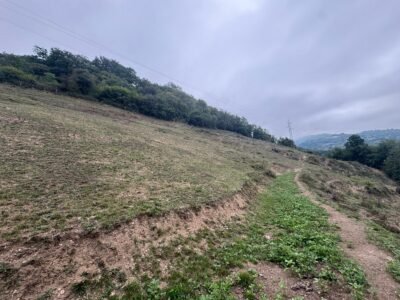 Finca de 30.000 m² con Casa y Cuadras – Oportunidad Inversora (Turismo Rural