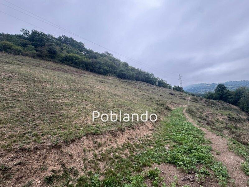 Finca de 30.000 m² con Casa y Cuadras – Oportunidad Inversora (Turismo Rural