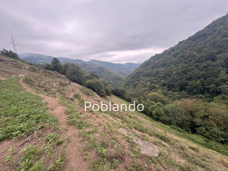 Finca de 30.000 m² con Casa y Cuadras – Oportunidad Inversora (Turismo Rural