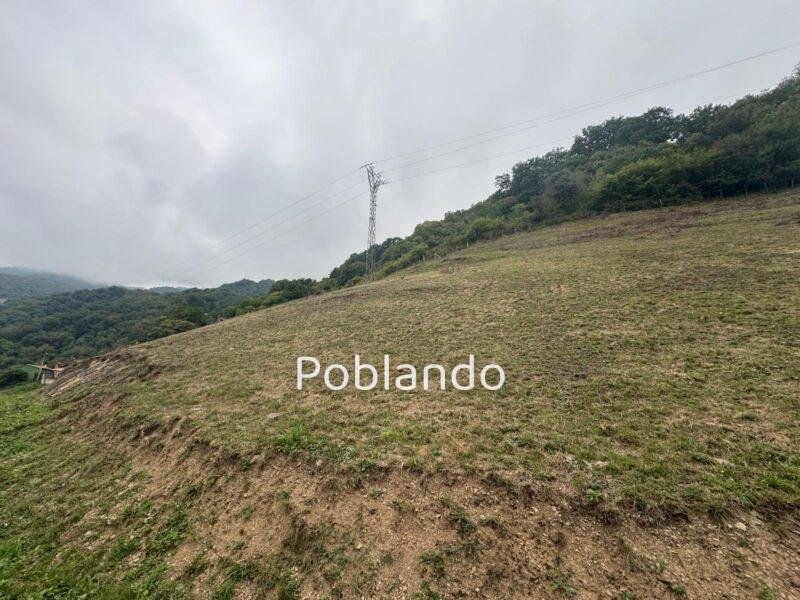 Finca de 30.000 m² con Casa y Cuadras – Oportunidad Inversora (Turismo Rural