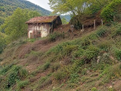 Finca de 30.000 m² con Casa y Cuadras – Oportunidad Inversora (Turismo Rural