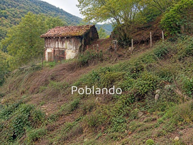 Finca de 30.000 m² con Casa y Cuadras – Oportunidad Inversora (Turismo Rural