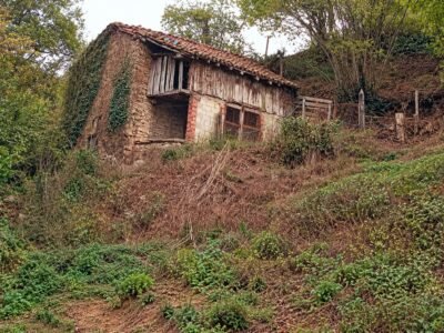 Finca de 30.000 m² con Casa y Cuadras – Oportunidad Inversora (Turismo Rural