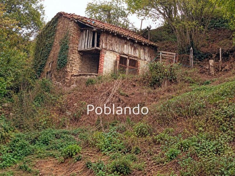 Finca de 30.000 m² con Casa y Cuadras – Oportunidad Inversora (Turismo Rural