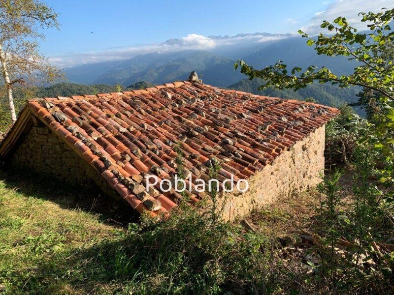 Cabaña Independiente para Reforma Integral con Terreno 10.000m²