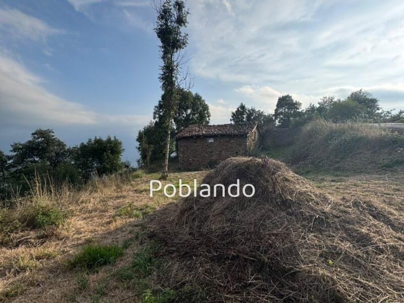 Finca en Quirós, foto 7