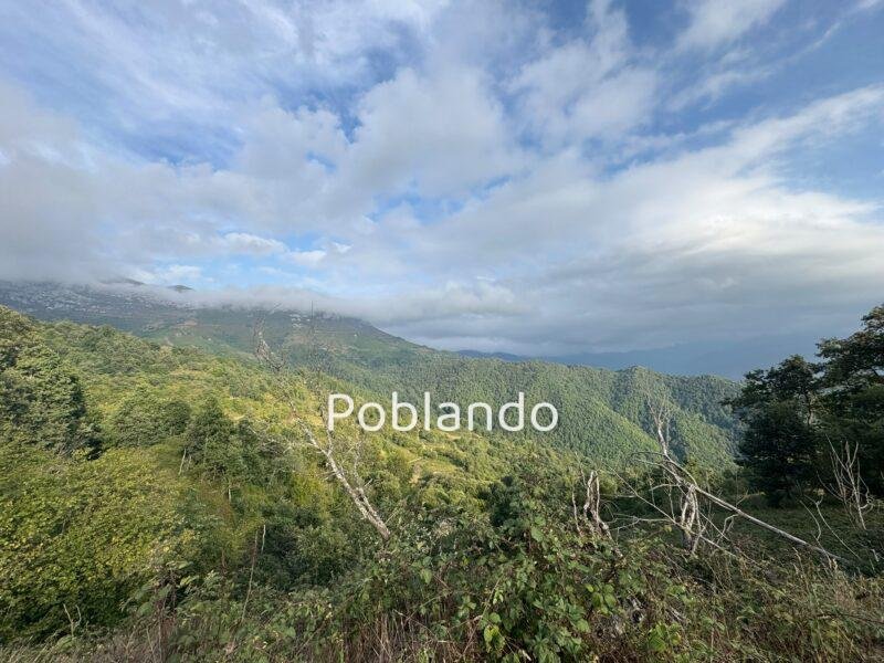 Finca en Quirós, foto 8