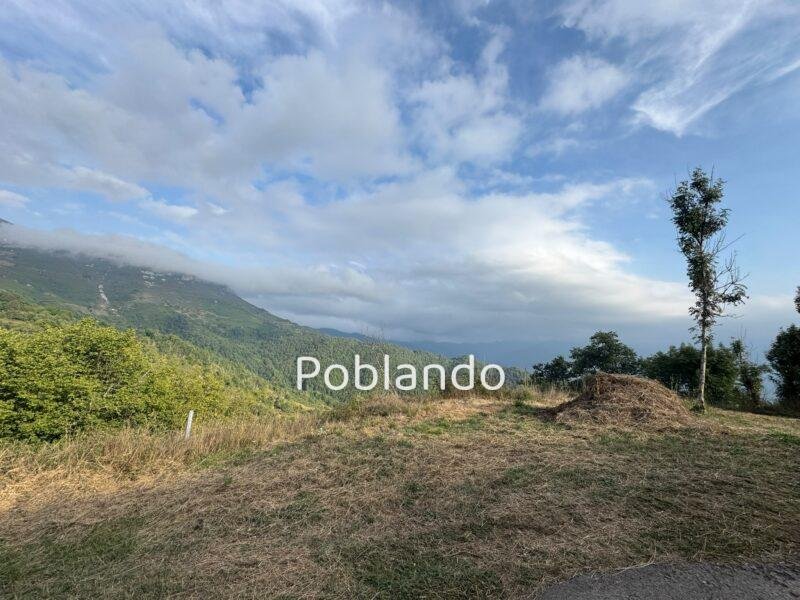 Cabaña de Piedra con Finca de 6.500 m² en Quirós