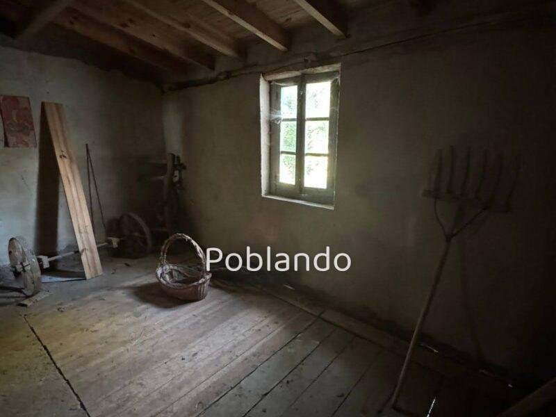 Finca de 8000m2 con casa, molino y canal de riego propio.
