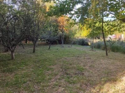Finca de 8000m2 con casa, molino y canal de riego propio.