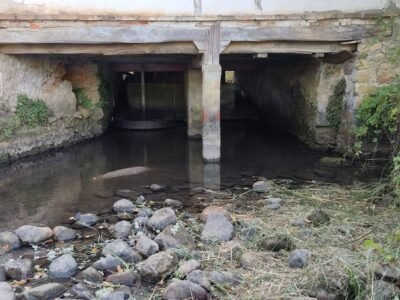 Finca de 8000m2 con casa, molino y canal de riego propio.
