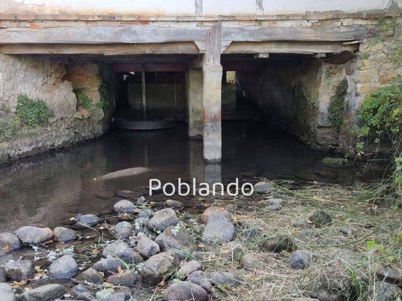 Finca de 8000m2 con casa, molino y canal de riego propio.