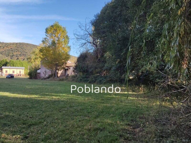 Finca de 8000m2 con casa, molino y canal de riego propio.