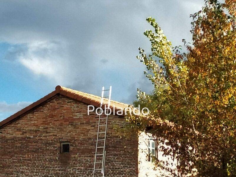 Finca de 8000m2 con casa, molino y canal de riego propio.