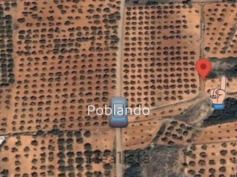 Parcela en Vall d'Alba, foto 1