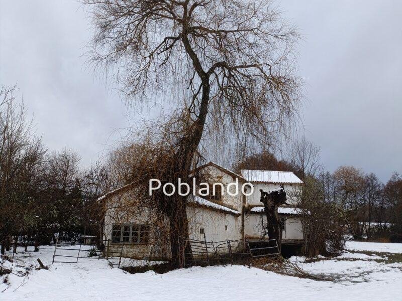 Finca de 8000m2 con casa, molino y canal de riego propio.