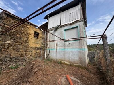 Casa de pueblo con solarium, patio y huerto