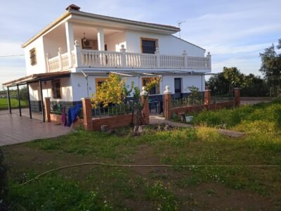 Finca rústica de 6 hectáreas con casa, piscina y 250 olivos, a 300 metros del pueblo