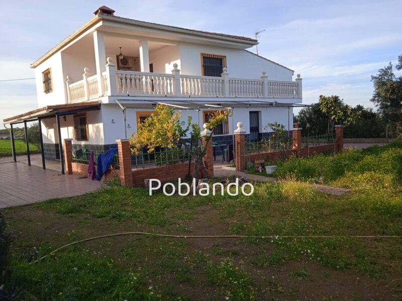 Finca rústica de 6 hectáreas con casa, piscina y 250 olivos, a 300 metros del pueblo