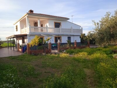 Finca rústica de 6 hectáreas con casa, piscina y 250 olivos, a 300 metros del pueblo