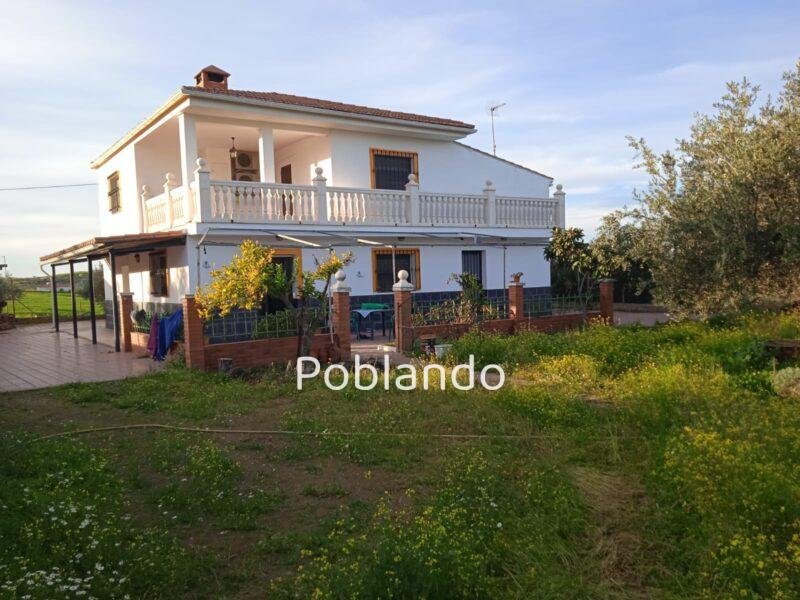 Finca rústica de 6 hectáreas con casa, piscina y 250 olivos, a 300 metros del pueblo