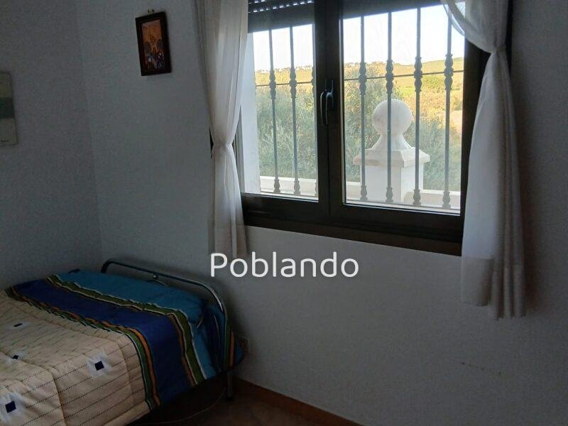 Finca rústica de 6 hectáreas con casa, piscina y 250 olivos, a 300 metros del pueblo