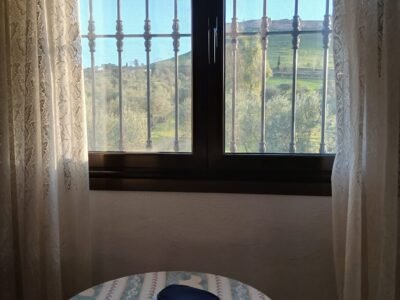 Finca rústica de 6 hectáreas con casa, piscina y 250 olivos, a 300 metros del pueblo