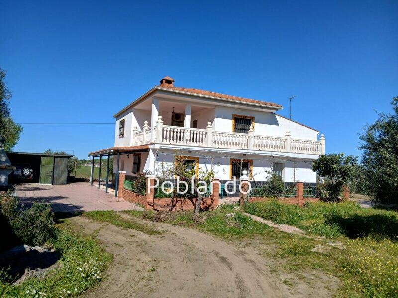 Finca rústica de 6 hectáreas con casa, piscina y 250 olivos, a 300 metros del pueblo