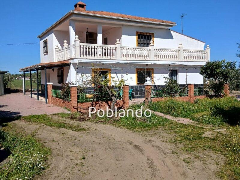 Finca rústica de 6 hectáreas con casa, piscina y 250 olivos, a 300 metros del pueblo