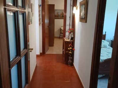 Finca rústica de 6 hectáreas con casa, piscina y 250 olivos, a 300 metros del pueblo