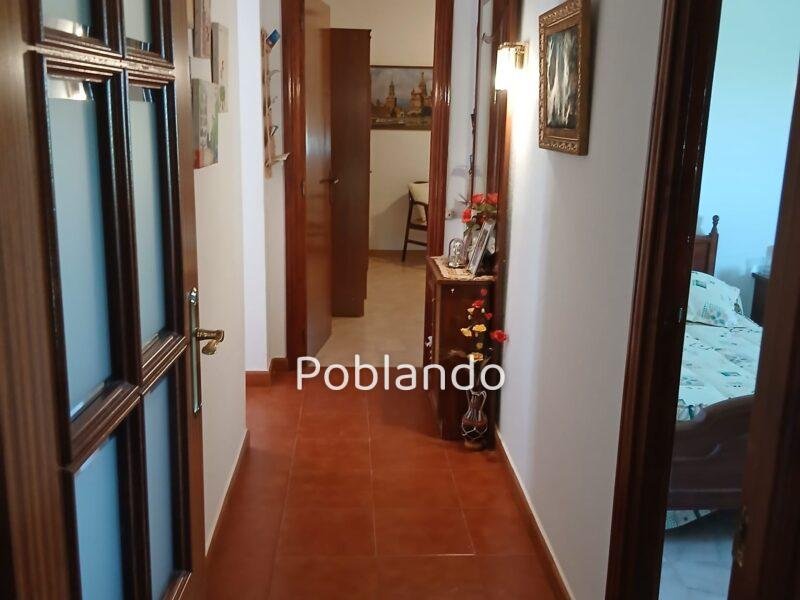 Finca rústica de 6 hectáreas con casa, piscina y 250 olivos, a 300 metros del pueblo