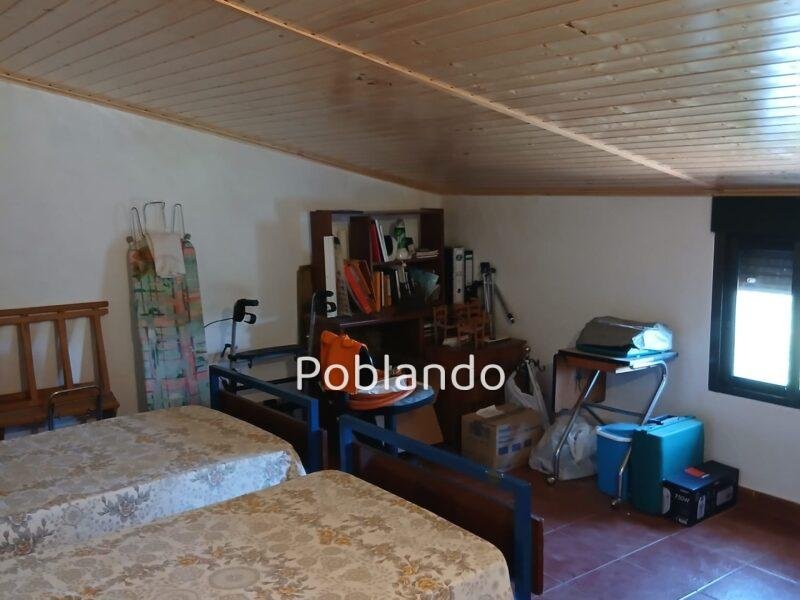 Finca rústica de 6 hectáreas con casa, piscina y 250 olivos, a 300 metros del pueblo