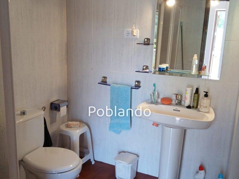 Finca rústica de 6 hectáreas con casa, piscina y 250 olivos, a 300 metros del pueblo