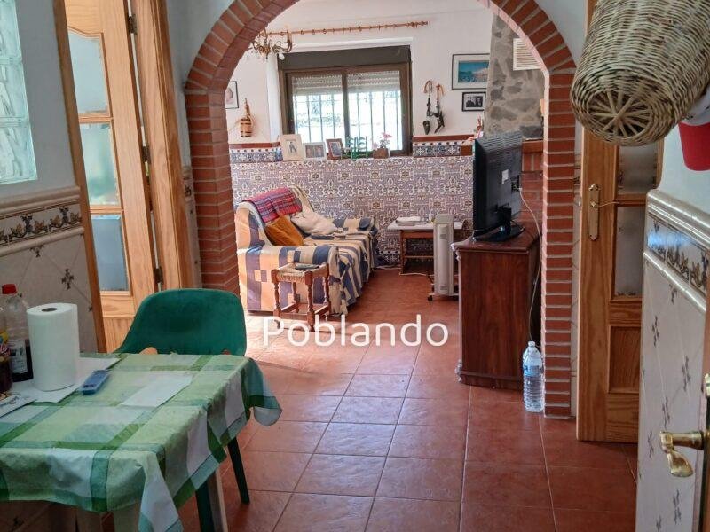 Finca rústica de 6 hectáreas con casa, piscina y 250 olivos, a 300 metros del pueblo