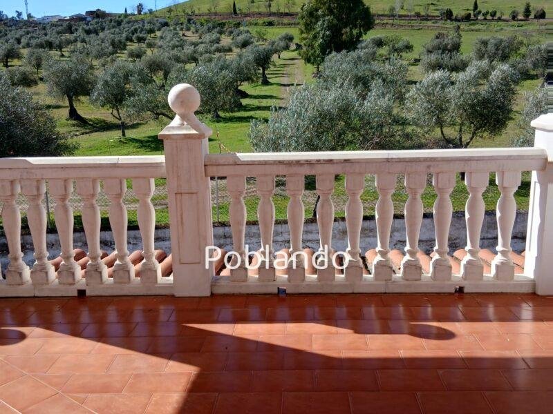 Finca rústica de 6 hectáreas con casa, piscina y 250 olivos, a 300 metros del pueblo
