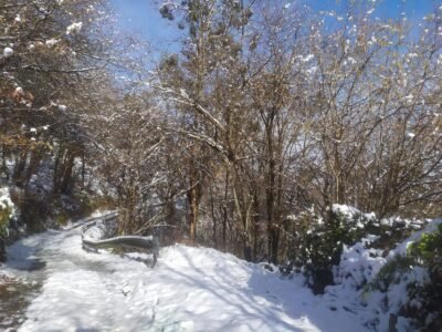 Venta de terreno en Aldea la Casona- Langreo
