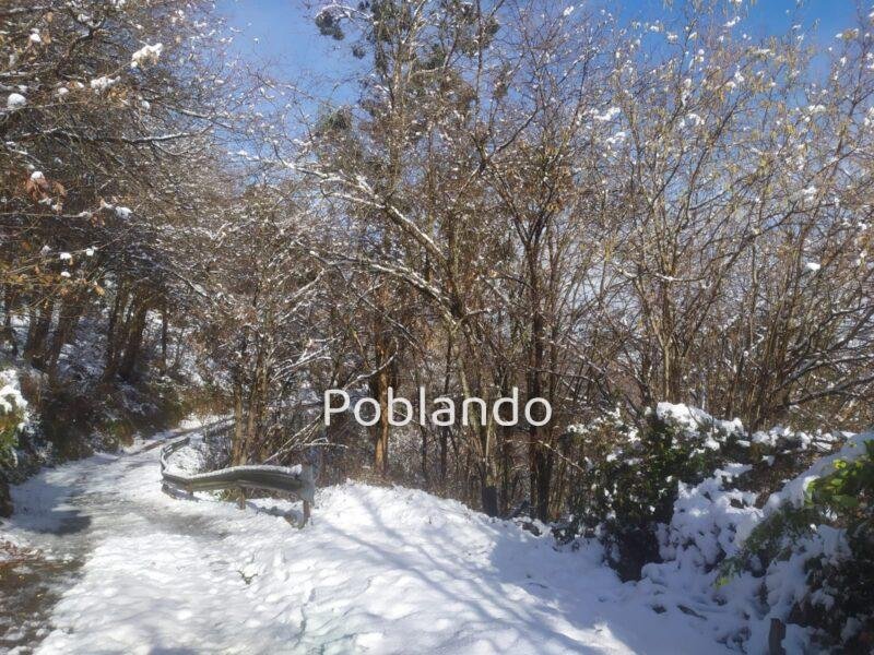 Finca rústica en Langreo, foto 7