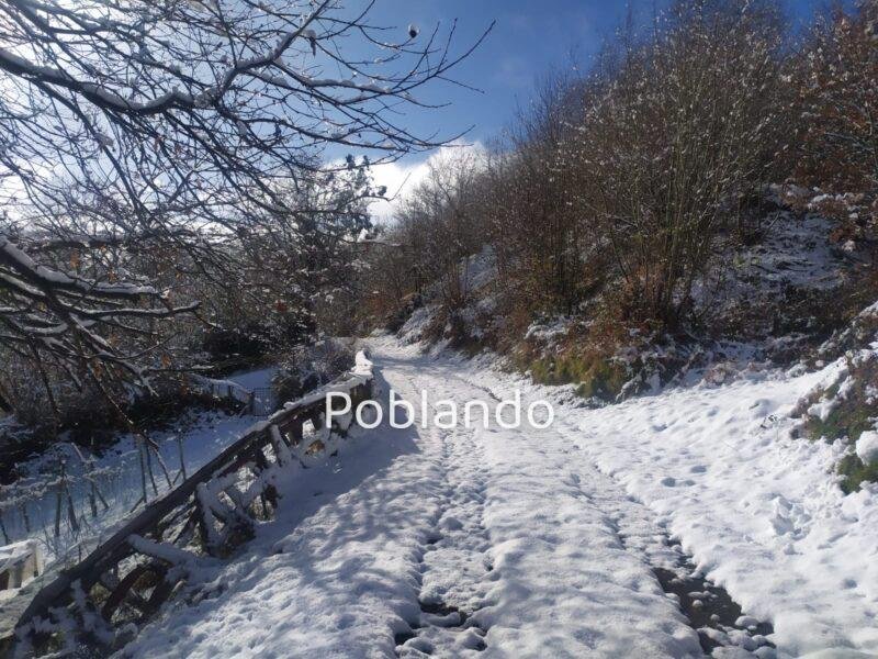 Finca rústica en Langreo, foto 8