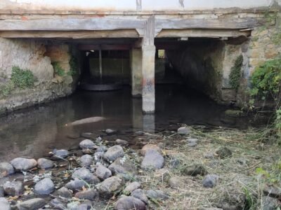 Finca de 8000m2 con casa, molino y canal de riego propio.