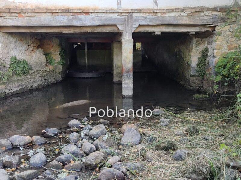 Finca de 8000m2 con casa, molino y canal de riego propio.