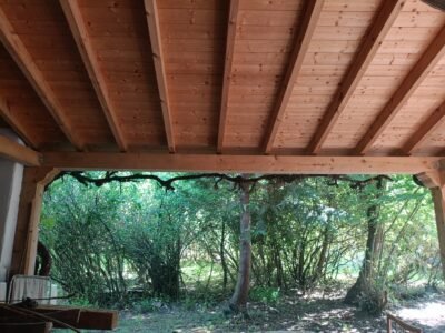 Finca de 8000m2 con casa, molino y canal de riego propio.