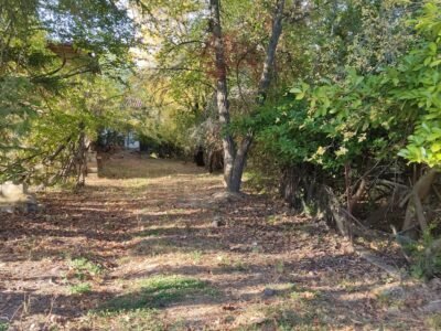 Finca de 8000m2 con casa, molino y canal de riego propio.