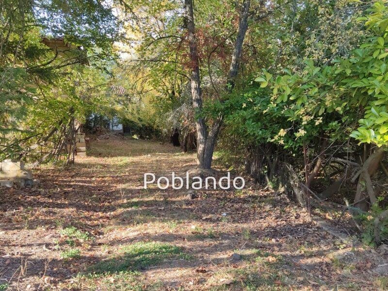 Finca de 8000m2 con casa, molino y canal de riego propio.